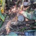Ejército Nacional neutralizó 14 artefactos explosivos en Arauca