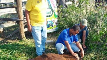 Equipo de profesionales de la Umata, realizando la asistencia técnica