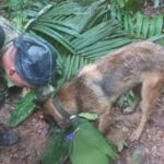 Rescate niños Caquetá