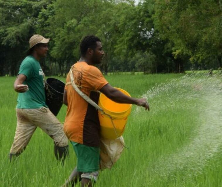 En Colombia se consumen más de 40 kg por persona al año