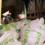 En Génova, 80 familias agricultoras recibieron insumos para la producción de plátano