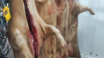 Incautados más de 300 kilos de carne de cerdo en  el barrio La Graciela
