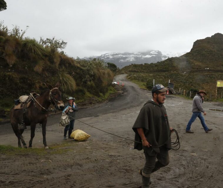 Leche y café, sectores con más riesgo por actividad del Nevado