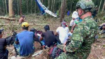 Niños perdidos en la selva: 14 indígenas dejaron operativo de búsqueda tras enfermarse