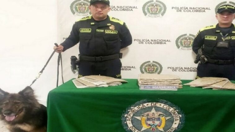 Policia incauto en El Dorado 6.840 gramos de marihuana ocultos en cajas