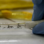 Preocupante: secretaría de Salud alerta por riesgo de brote de dengue en Medellín