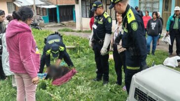 Rechazo por el hallazgo de cuatro perros envenenados en el oriente de Pasto