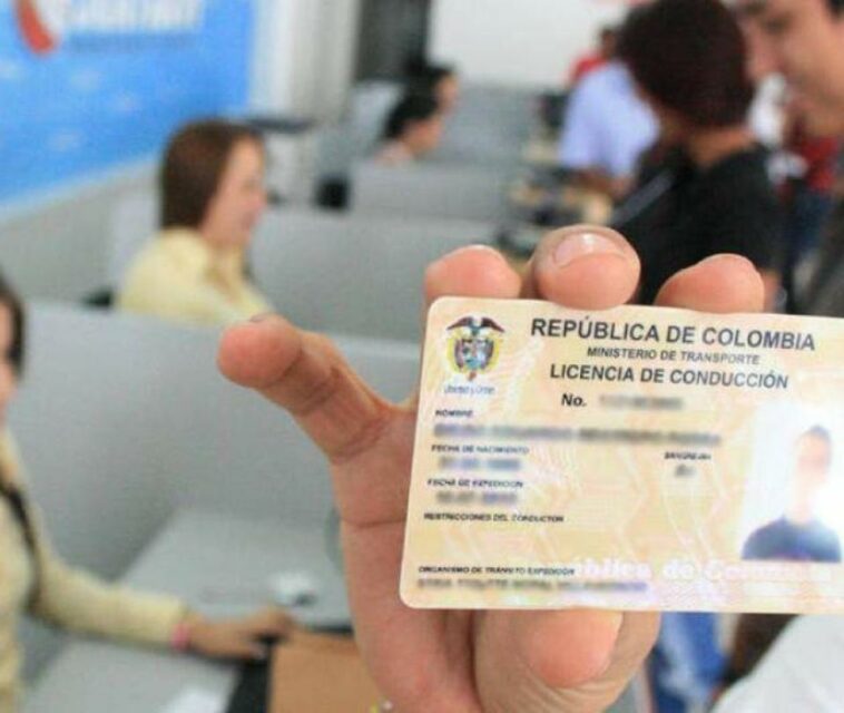 Renovación del pase: así puede sacar la licencia de conducción digital y evitar multas