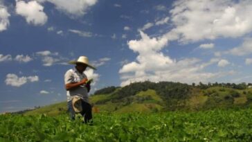 Unión Europea inicia apoyo técnico a productores de agro colombiano