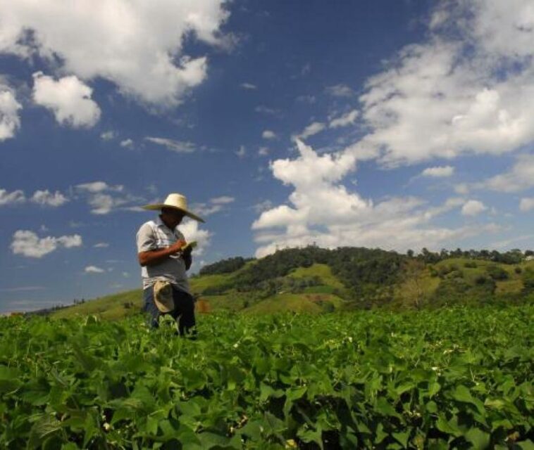 Unión Europea inicia apoyo técnico a productores de agro colombiano