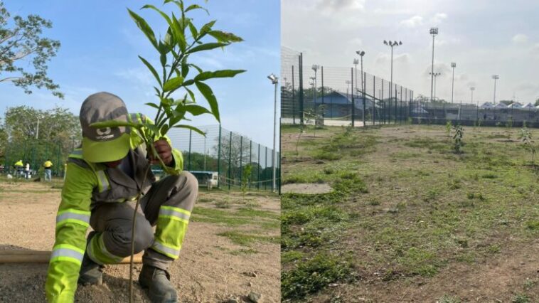 Urbaser sembró árboles en la Villa olímpica