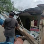 Ventarrón tumbó un árbol que cayó sobre vivienda donde se encontraban una mujer y sus tres hijos