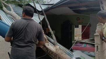 Ventarrón tumbó un árbol que cayó sobre vivienda donde se encontraban una mujer y sus tres hijos