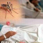 12 municipios del Huila con casos de Dengue.