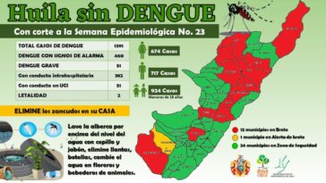 12 municipios del Huila, se encuentran con brote de dengue