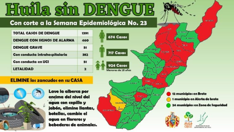 12 municipios del Huila, se encuentran con brote de dengue