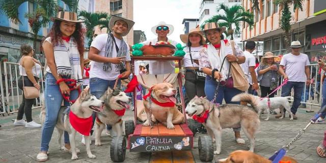 Festival Sampedrino de Mascotas