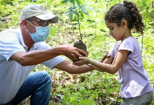 CORPAMAG aporta con su vivero a la reforestación del Magdalena