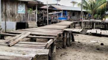Con minga y unión, la comunidad de Candelillas de la Mar en Tumaco, construirá puentes palafíticos