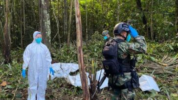 Confirmado: niños rescatados en la selva serán trasladados a Bogotá