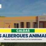 Construirán un albergue animal en Pácora y mejorarán los de Supía y Anserma