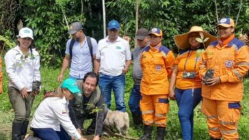 Corpamag siembra 150 árboles en Minca