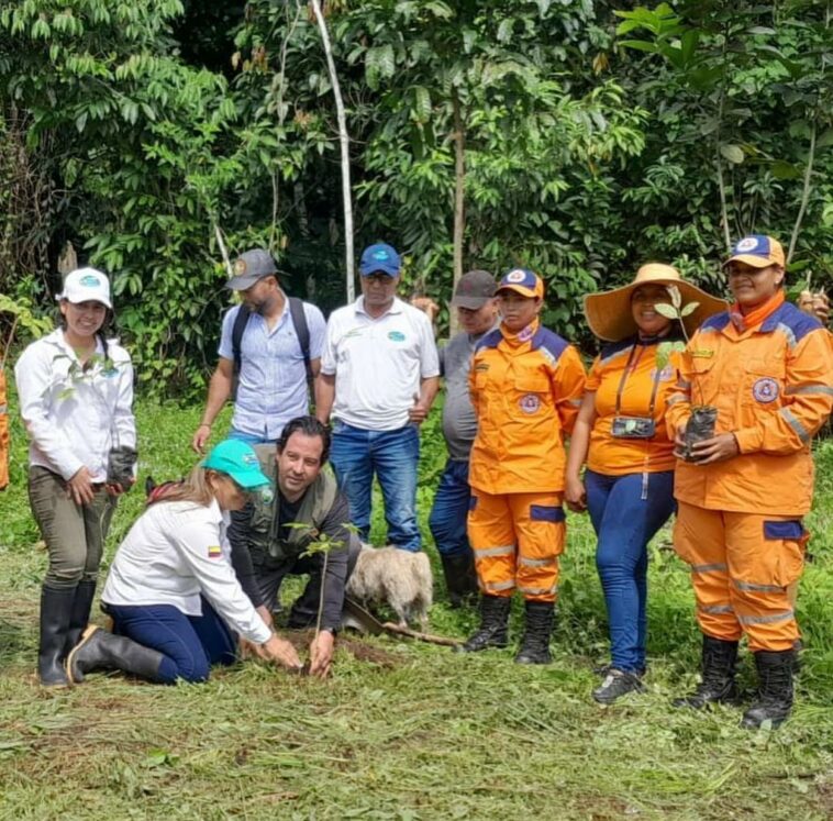 Corpamag siembra 150 árboles en Minca