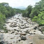Corpoguajira realiza restauración y preservación de ecosistemas forestales de los ríos Cesar y Ranchería