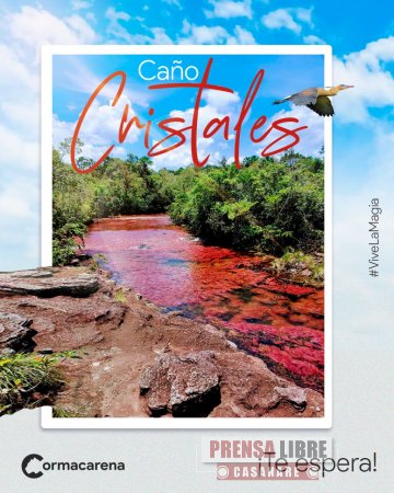 El 16 de junio Caño Cristales abre nuevamente al público