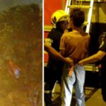 En Cali: un joven se subió al árbol y amenazó con tirarse, llegaron los bomberos y la policía, problemas de salud mental