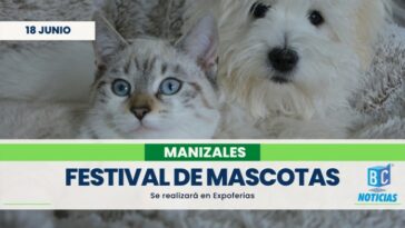 En Expoferias se realizará el Festival de las Mascotas