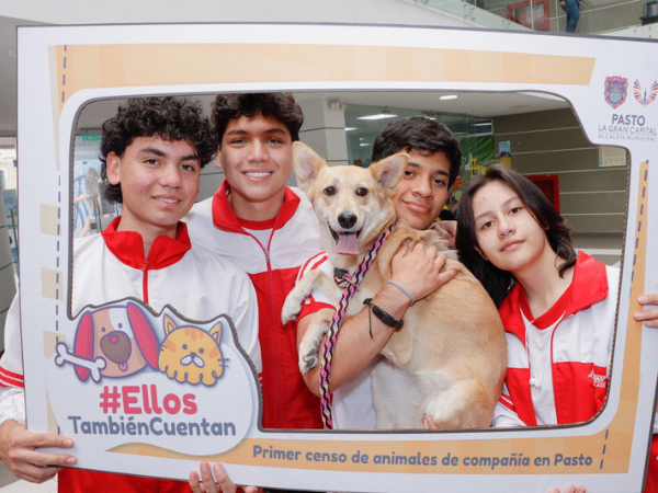 En Pasto realizan el primer censo de perros y gatos de Colombia