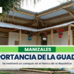 En el Banco de la República hablarán sobre la importancia de la guadua en la construcción de viviendas en Manizales