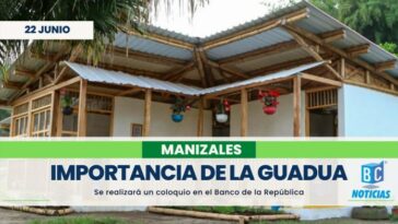 En el Banco de la República hablarán sobre la importancia de la guadua en la construcción de viviendas en Manizales
