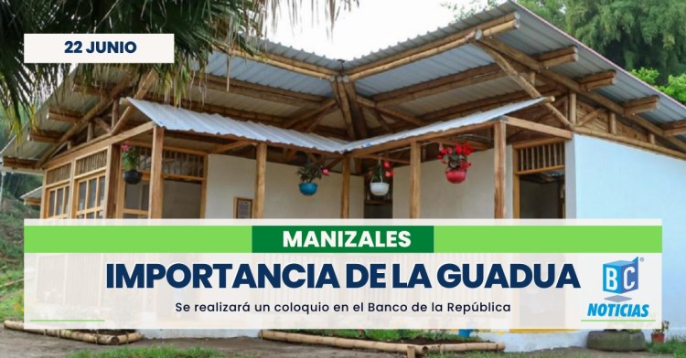 En el Banco de la República hablarán sobre la importancia de la guadua en la construcción de viviendas en Manizales