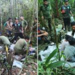 Estos son los cuatro niños que sobrevivieron 40 días en la selva del Guaviare y Caquetá