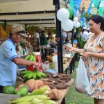 El proyecto E-commerce busca incrementar la comercialización de los productos hortofrutícolas sembrados por campesinos del Departamento.