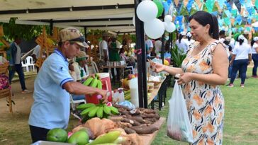 El proyecto E-commerce busca incrementar la comercialización de los productos hortofrutícolas sembrados por campesinos del Departamento.