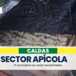 Fortalecerán el sector apícola de 11 municipios de Caldas