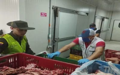 Incautan más de 750 kilos de carne en descomposición en Neiva