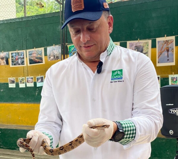 La desinformación está matando a las serpientes en Risaralda y Colombia
