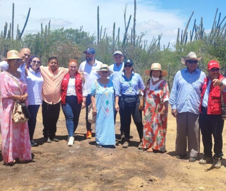 Línea Colectora logró la totalidad de consultas para su construcción