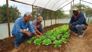 Más de 1.000 productores del Quindío accederán a los servicios de promoción del desarrollo rural