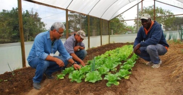 Más de 1.000 productores del Quindío accederán a los servicios de promoción del desarrollo rural