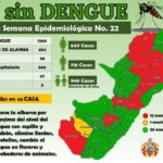Más de 1.350 casos de dengue se han reportado en lo que va del 2023 en el Huila 7 17 junio, 2023