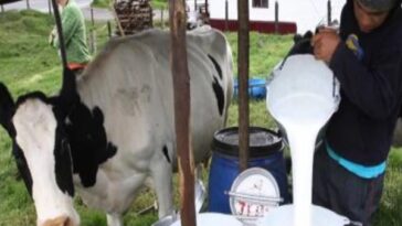 Ministerio logró acuerdo con Alquería para seguir con la compra de leche a campesinos de Nariño