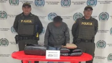 Mujer fue capturada con 20 kilos de marihuana en La Plata