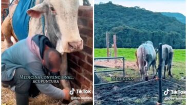 «Esplendor»: El toro que puso patas arribas a Bogotá en una tarde
