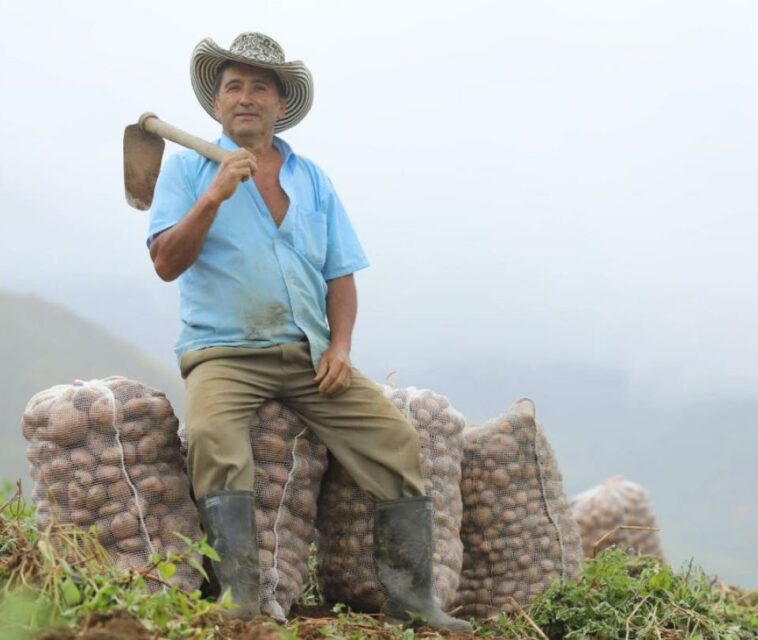 Nariño, Antioquia y Boyacá, con más seguros campesinos