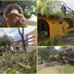 Ráfagas de viento tienen en alerta a Pasto: caída de árboles y de techos se ha vuelto constante